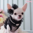 WOOF BLOOM TO BREEZEﾍｱﾘﾎﾞﾝ PK