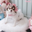 WOOF ONCE UPON A TIMEヘアリボン PK