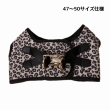 MP ZENDAYA ﾊｰﾈｽ CHT