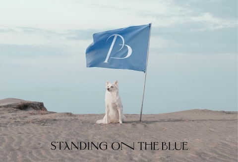 i-glow｜アイ グロー【ドッグファッション・セレクトストア】